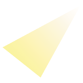 MaZiSOFT Informatik AG